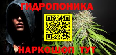 молекула духа Камышлов